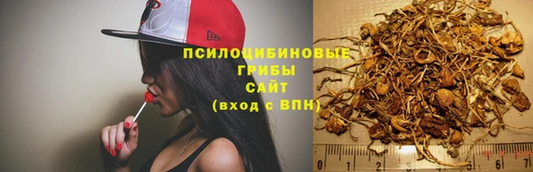 СК Алзамай