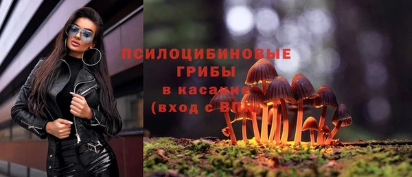 СК Алзамай