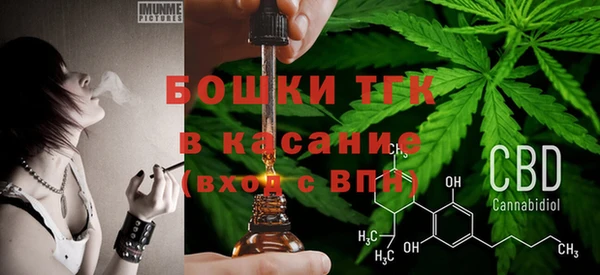 эйфоретик Алексин