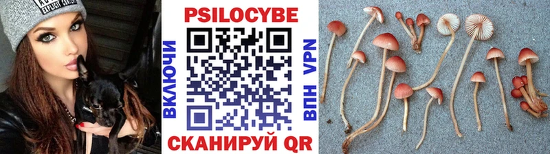 Галлюциногенные грибы Magic Shrooms  Цоци-Юрт 